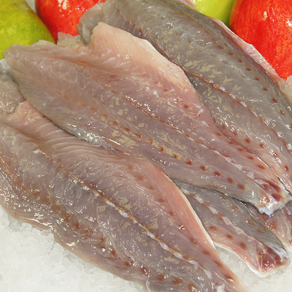 Tailor Fresh Moreton Island Silver Aussie Seafood House