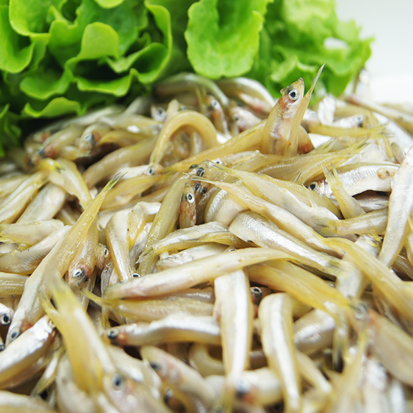 West Australian Whitebait Aussie Seafood House