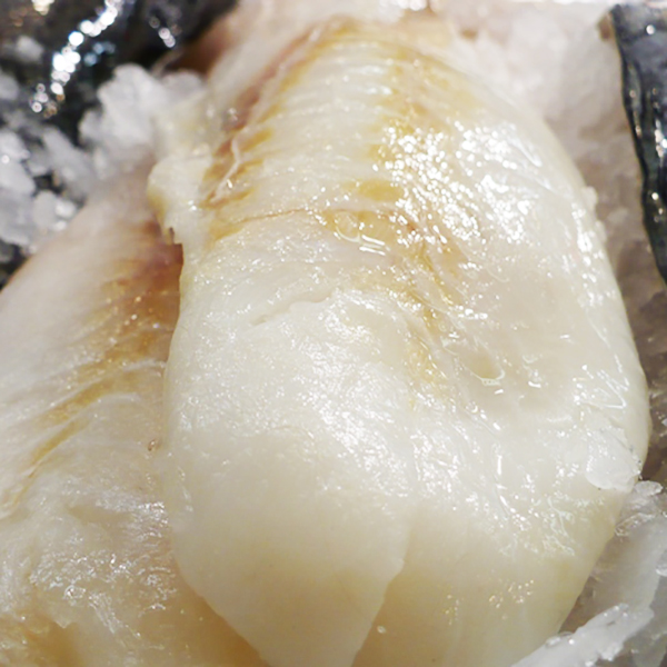 Orange Roughy Fresh Aussie Seafood House