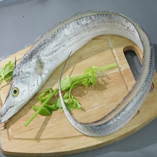 hairtail-ribbonfish-fresh-wild-caught-aussie-seafood-house