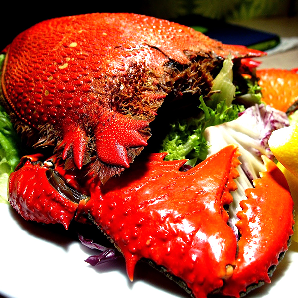 Spanner Crabs Moreton Island Aussie Seafood House