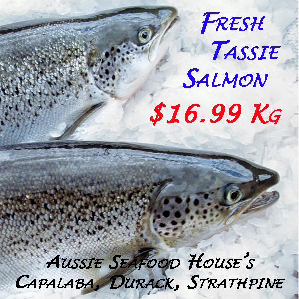 Salmon Fresh Tasmanian Gold Aussie Seafood House